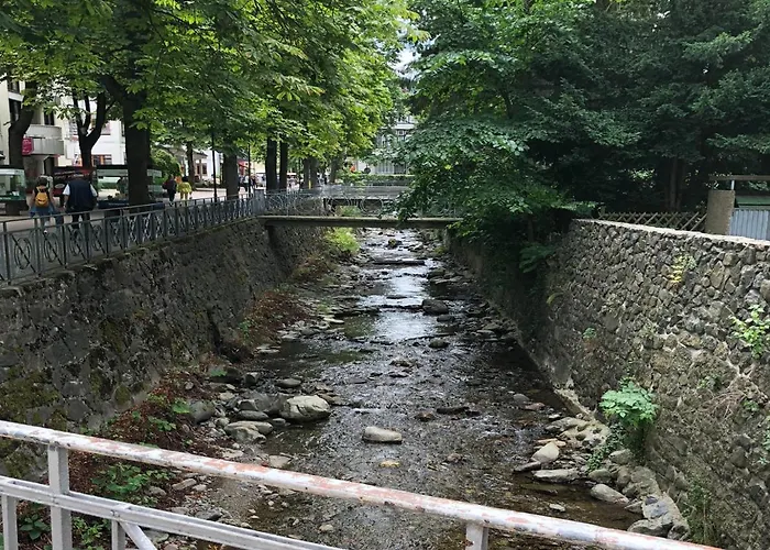 Radautraum アパート *